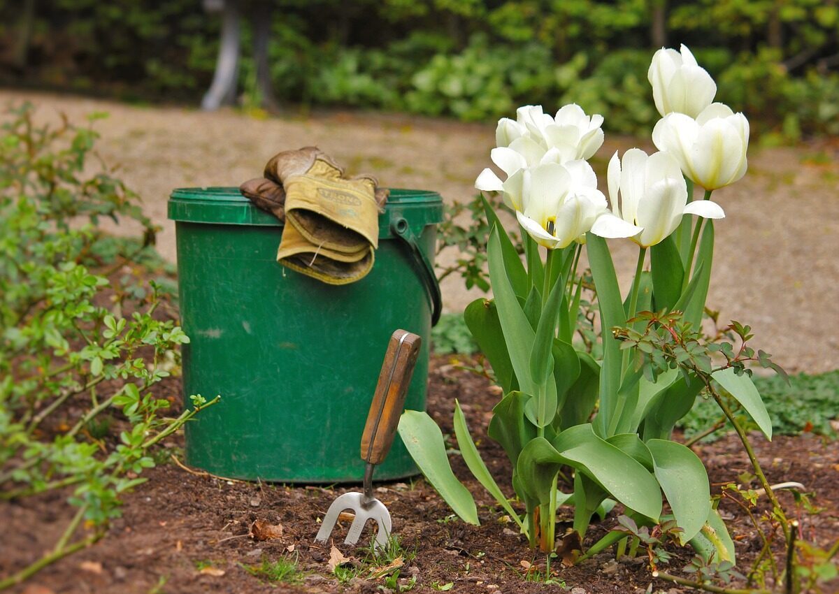 Gartenpflanzen und Gartenwerkzeug, Photo by javallma